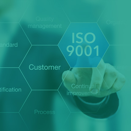 Gestión de la calidad